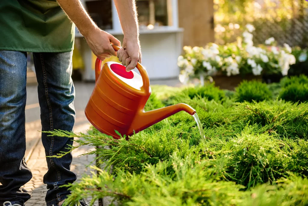 jardinier avec un arrosoir