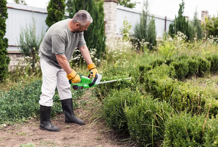 jardinier taillant un arbustre