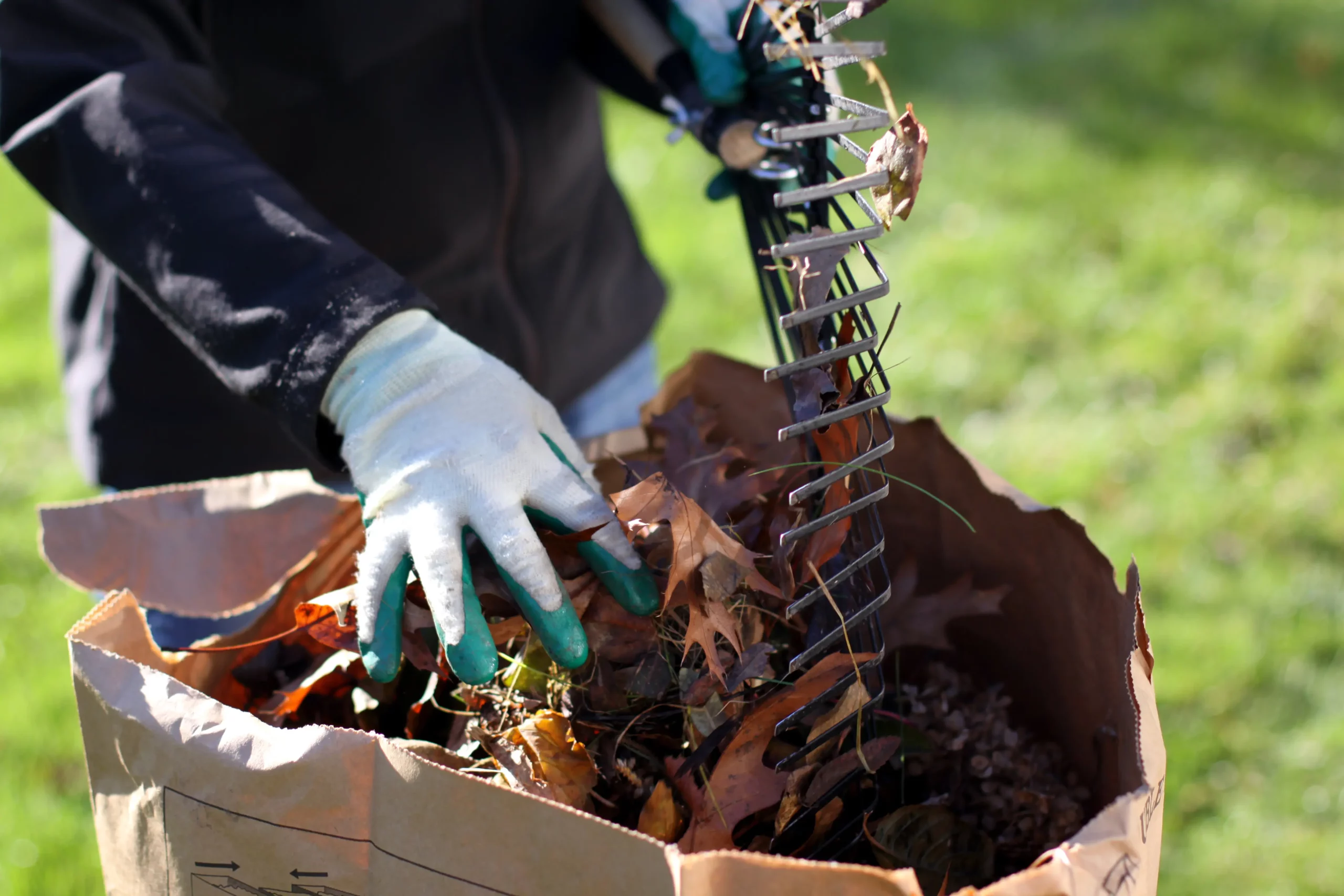 jardinier ramassant les feuilles d'automne